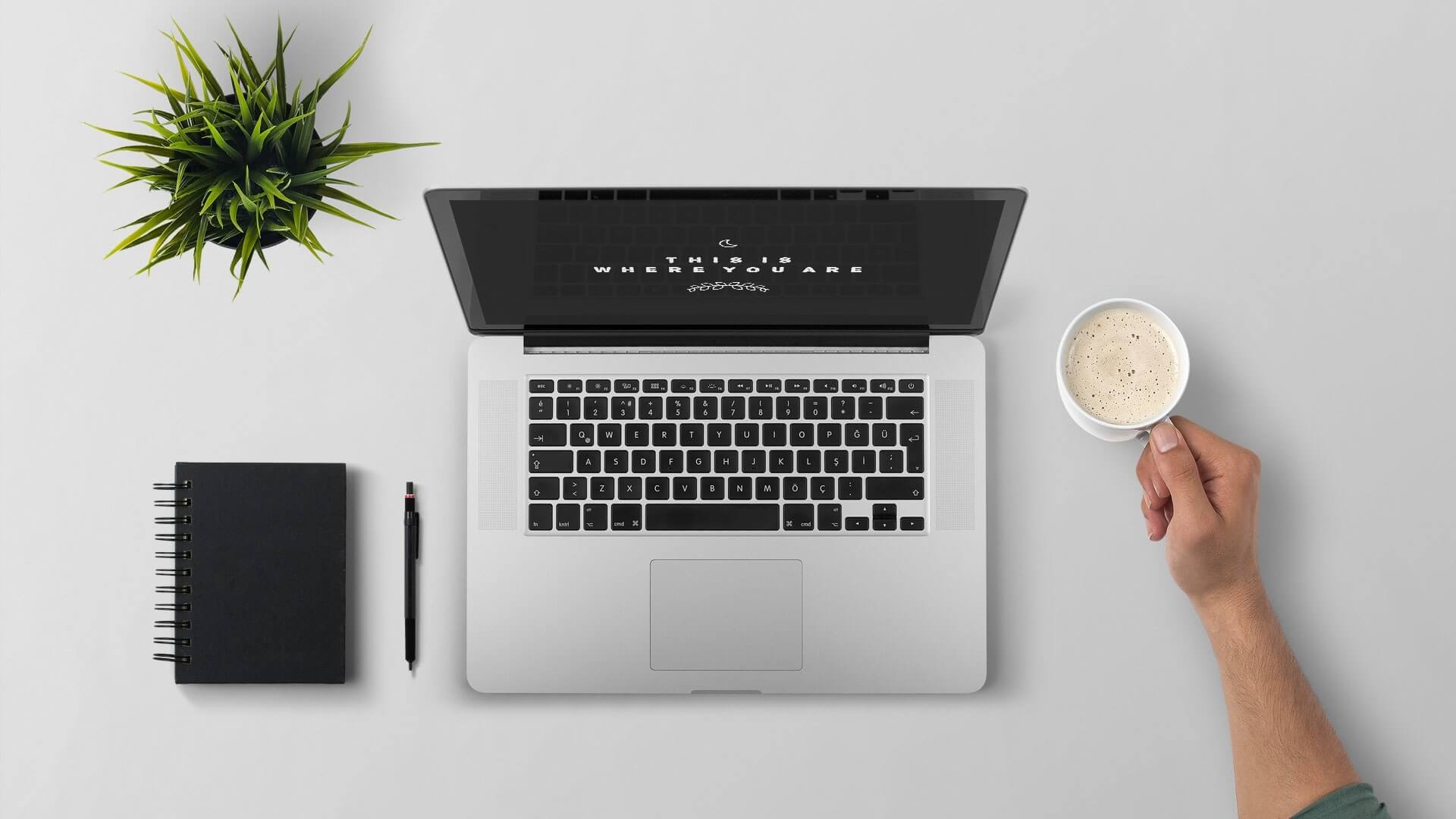 divi-agency-inner-header